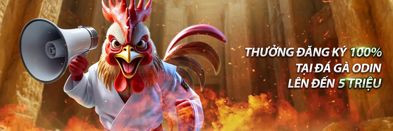 Người dùng đặt cược trên thiết bị di động với giao diện nohu66 rõ ràng và thân thiện