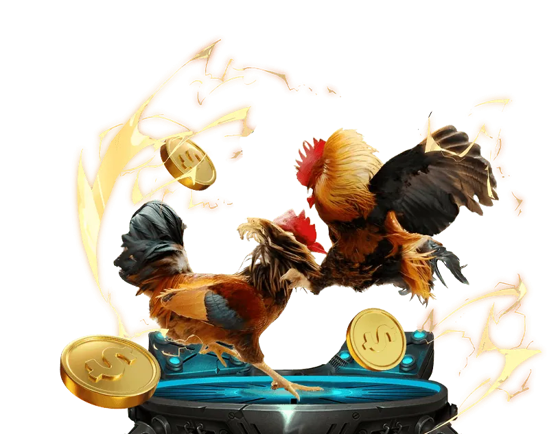 Quản lý vốn thông minh khi chơi nohu66